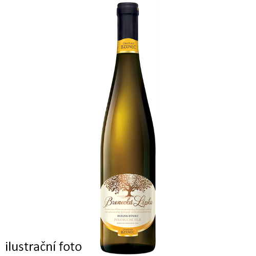 Chateau Bzenec - Bzenecká lipka